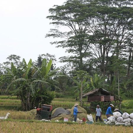 Pondok Gepokan Homestay Ubud  Ngoại thất bức ảnh