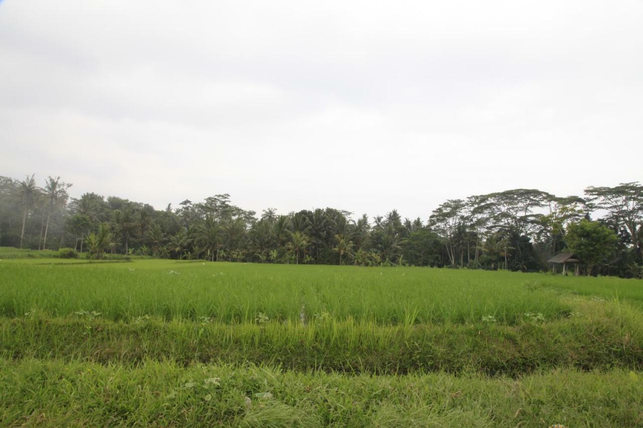 Pondok Gepokan Homestay Ubud  Ngoại thất bức ảnh