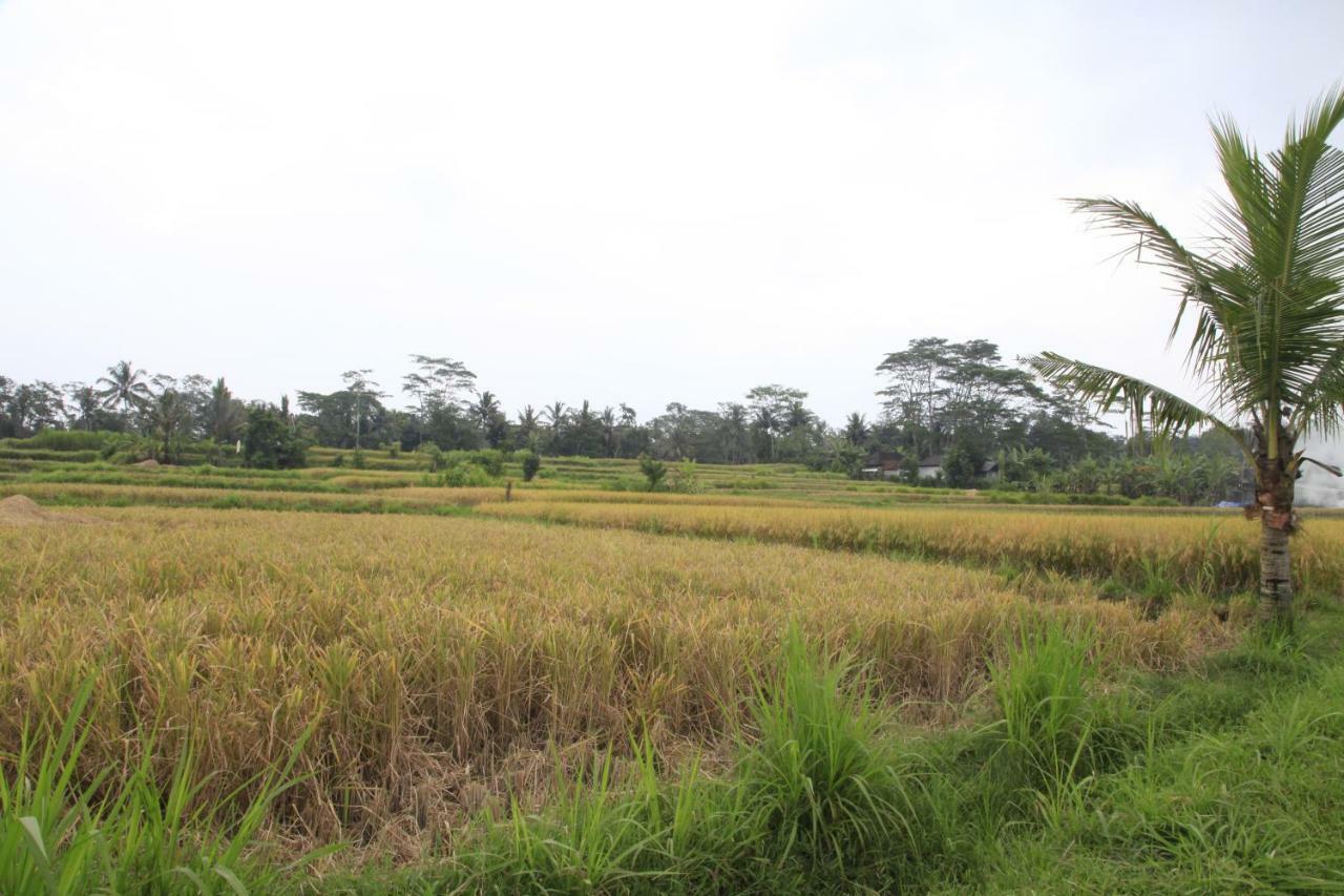 Pondok Gepokan Homestay Ubud  Ngoại thất bức ảnh