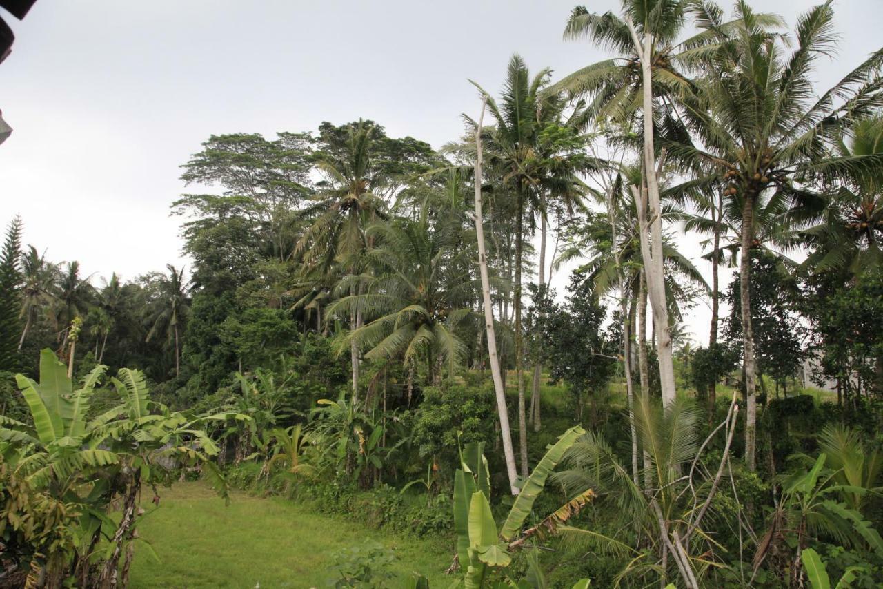 Pondok Gepokan Homestay Ubud  Ngoại thất bức ảnh