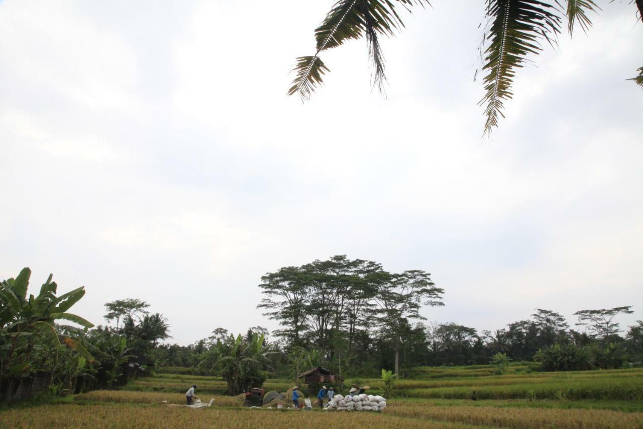 Pondok Gepokan Homestay Ubud  Ngoại thất bức ảnh